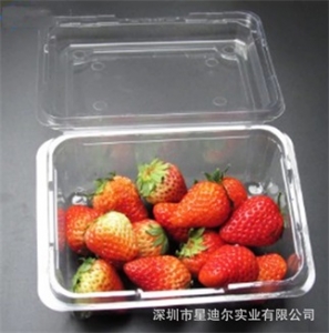 水果快猫视频回家导航